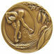 Picture of UN FAO World Food Summit Bronze Medal