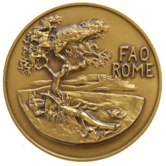 Picture of UN FAO Bronze Medal for World Food Day 1983