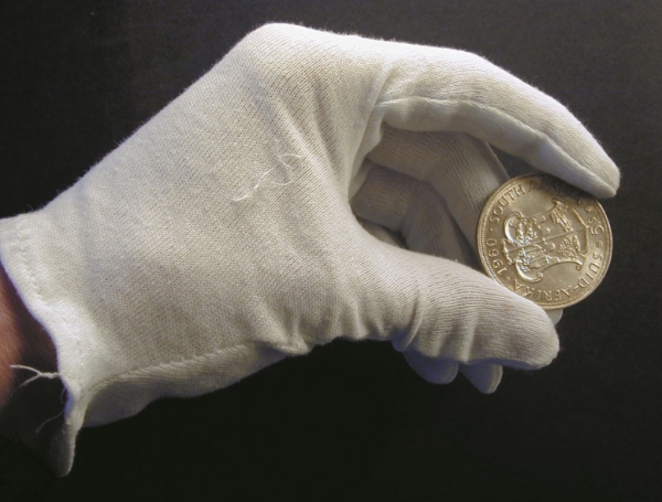 Picture of Gloves for handling