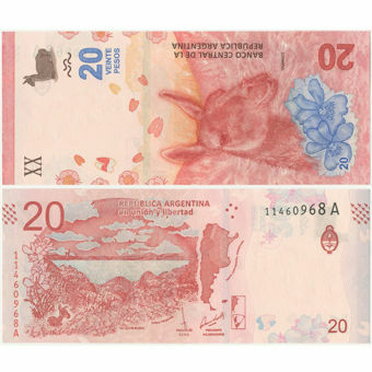 Picture of Argentina 20 Pesos (2017) P-New Unc