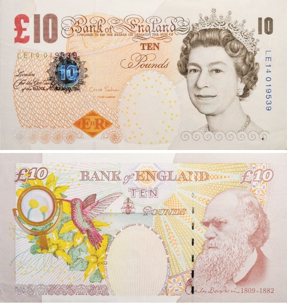 Picture of Chris Salmon £10 Darwin B408 Unc