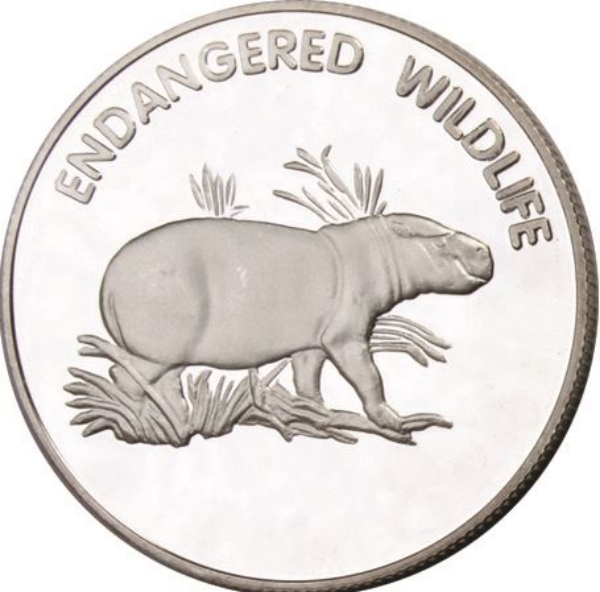 Picture of Malawi, Pigmy Hippo