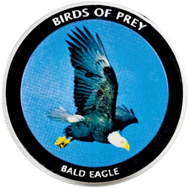 Picture for category Malawi Birds of Prey