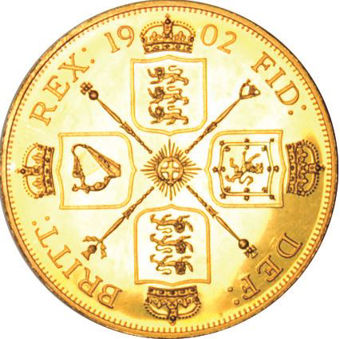 Picture of Edward VII, Patina Double Florin Goldine