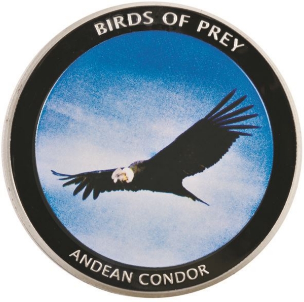 Picture of Malawi, Andean Condor