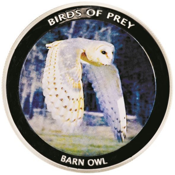 Picture of Malawi, Barn Owl