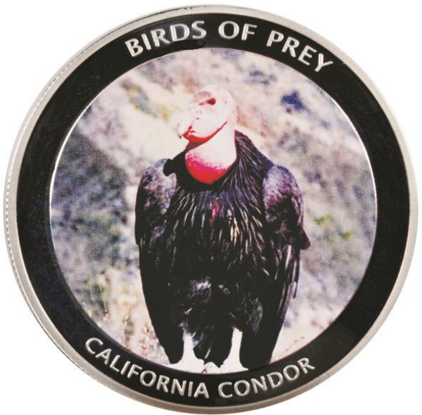 Picture of Malawi, California Condor