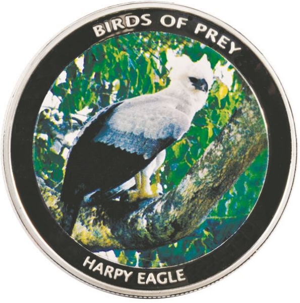 Picture of Malawi, Harpy Eagle