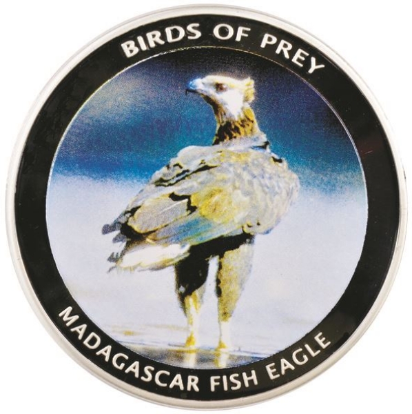Picture of Malawi, Madagascar Fish Eagle