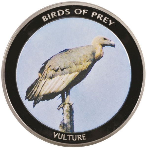 Picture of Malawi, Vulture