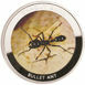 Picture of Zambia, 1000 Kwacha (Deadly Bugs - Bullet Ant) 2010 Proof