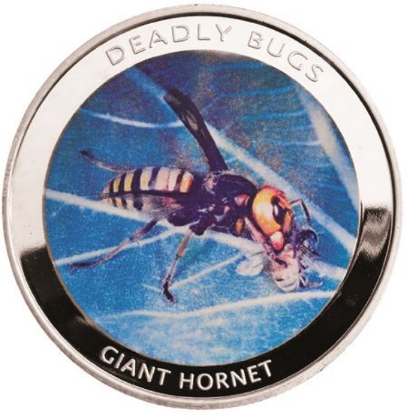 Picture of Zambia, 1000 Kwacha (Deadly Bugs - Giant Hornet) 2010 Proof