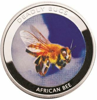 Picture of Zambia, African Bee