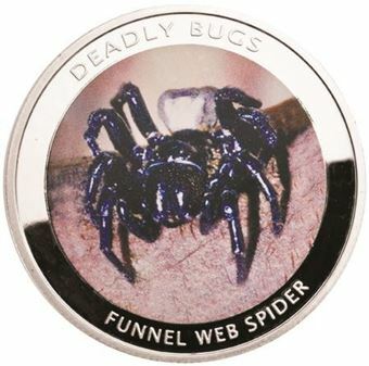 Picture of Zambia, Funnel Web Spider