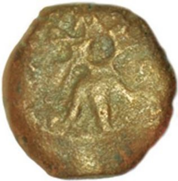 Bronze_windows_Mite