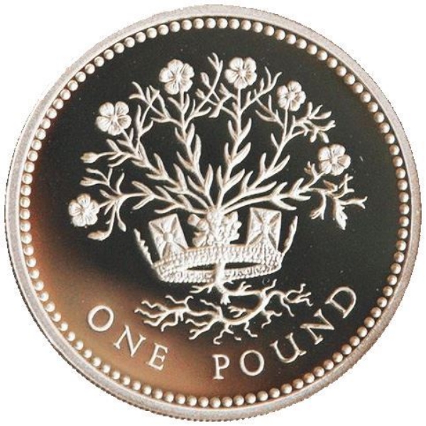 Silver_Proof_Ireland_Pound_1991_Rev