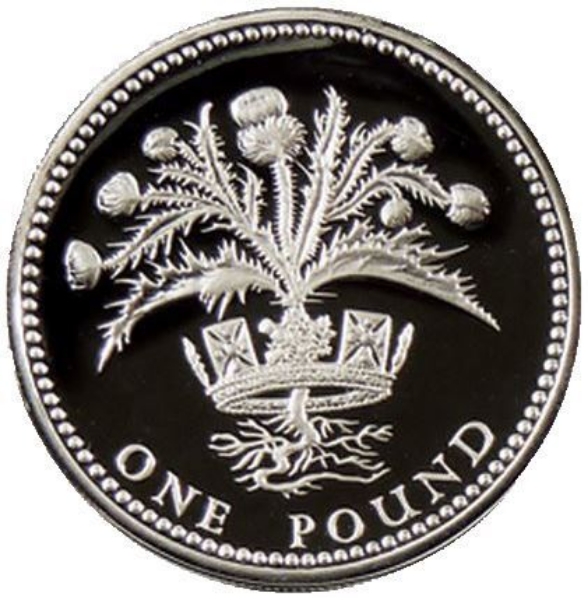 Picture of Elizabeth II, £1 (Scottish Pound) 1984 Proof Sterling Silver  - in capsule