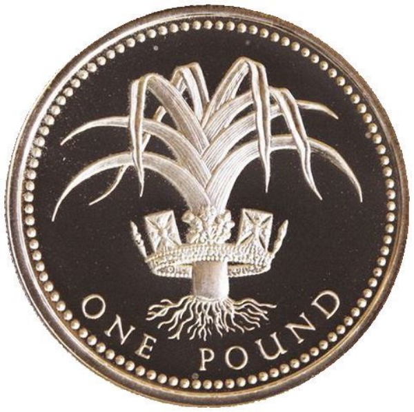 Picture of Elizabeth II, £1 (Welsh Pound) 1990 Proof Sterling Silver FDC - in capsule