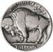 Picture of United States of America, Buffalo Nickel, 1913 - 1938. In circulated condition.