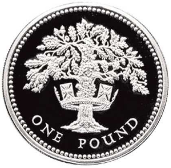 1987 Silver Proof Pound in capsule_rev
