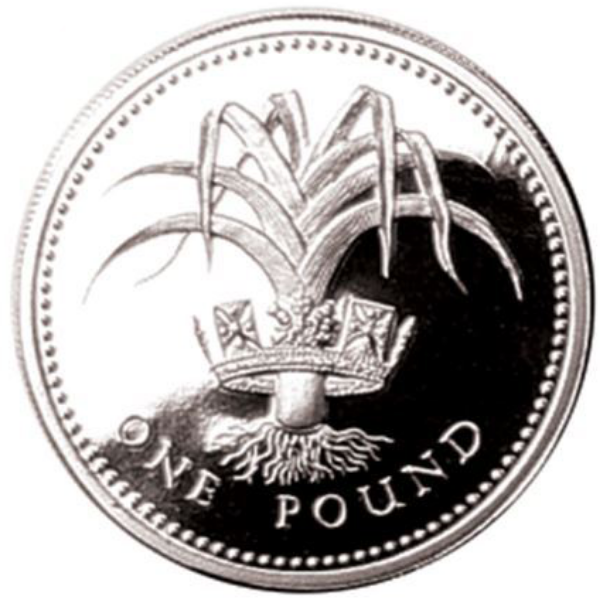 1985_welsh_pound_rev
