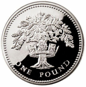 1992_£1_English_Pound_Silver_Proof _in_capsule_FDC_rev