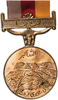 Set of 11 Different Pakistan Medals_10