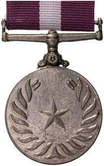 Set of 11 Different Pakistan Medals_11