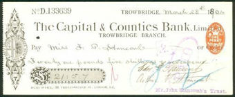 Picture of Trowbridge Branch, 18(88), type 3a