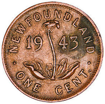 Canada, Newfoundland, Large & Small 1 Cent coins_rev