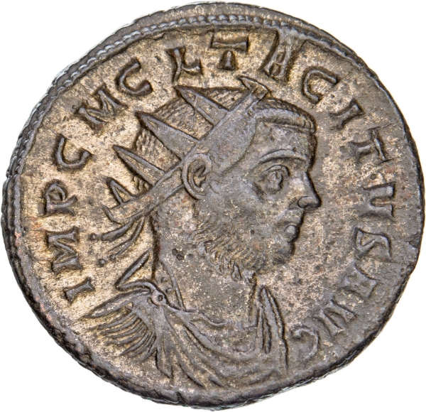 Tacitus. A.D. 275-276. Æ Ant. SALVS AVG_obv