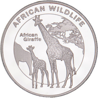 Australian, Animals Collection_Giraffe_rev