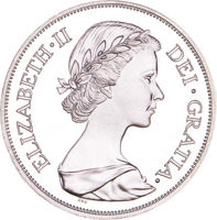 Elizabeth II, Double Florin Patina Silver Proof _obv
