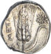 Lucania, Metapontion. Ca. 330-290 BC. Ly-, magistrate. AR Stater_rev