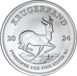 South Africa Silver Krugerrand 2024 BU_rev