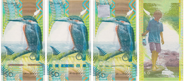 Kingfisher Three Ways_main