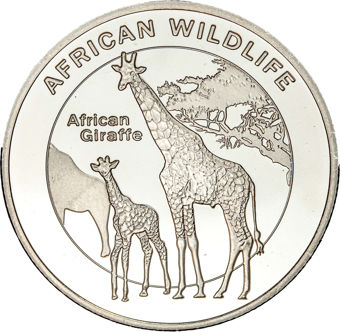 African Wildlife Giraffe_rev