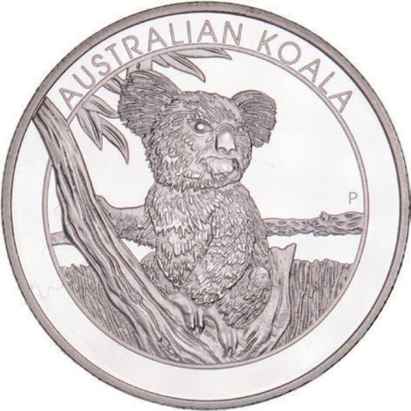 Koala from Novosibirsk Zoo_obv