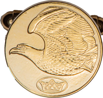 Eagle Of America Pair Of Cufflinks In Case_obv