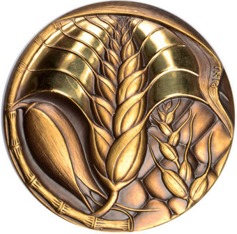 United Nations FAO - Halving Hunger by 2015, 2001 Calendar Medal._obv