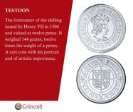 Picture of Testoon
