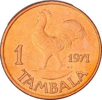 Ten African Coins from Ten Different Countries_rev_6