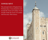Picture of Tower Mint