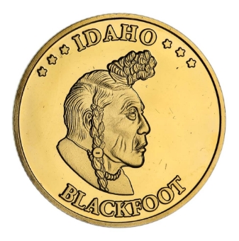 Native American Set of 30 Quarters - Blackfoot