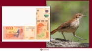 Picture of Argentinean Pesos featuring Rofous Hornro, Argentina’s national bird