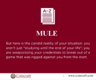 Picture of Mule