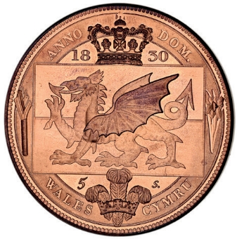 William IV Set of 5 Welsh Patinas_rev