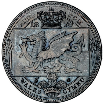 William IV Set of 5 Welsh Patinas_rev_2