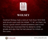Picture of Wolsey