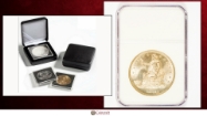 Picture of Grading Explained (PCGS vs. NGC): A Jargon-Free Guide to Professional Coin Grading